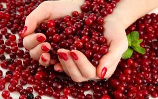 Как правильно применять клюкву при заболевании циститом