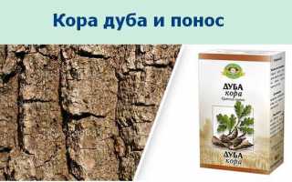 Использование коры дуба при поносе