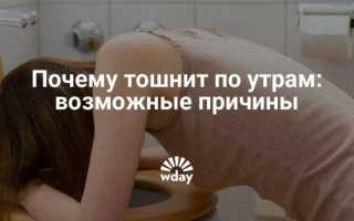 Отчего может быть тошнота по утрам?